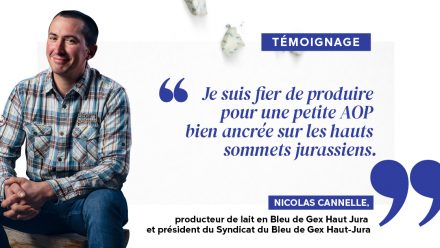 témoignage Nicolas Cannelle