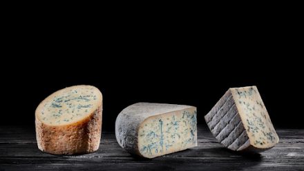 fabrication-fromages-pate-persillee-fourme-de-montbrison-bleu-du-vercors-bleu-de-gex