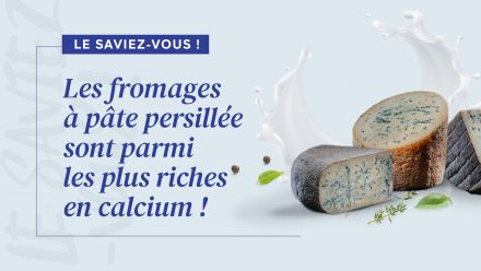 fromages à pâte persillée, calcium