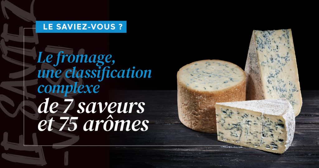saveurs fromages, aromes fromages, fromage, fromages, saveurs des fromages